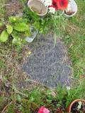 image of grave number 147870
